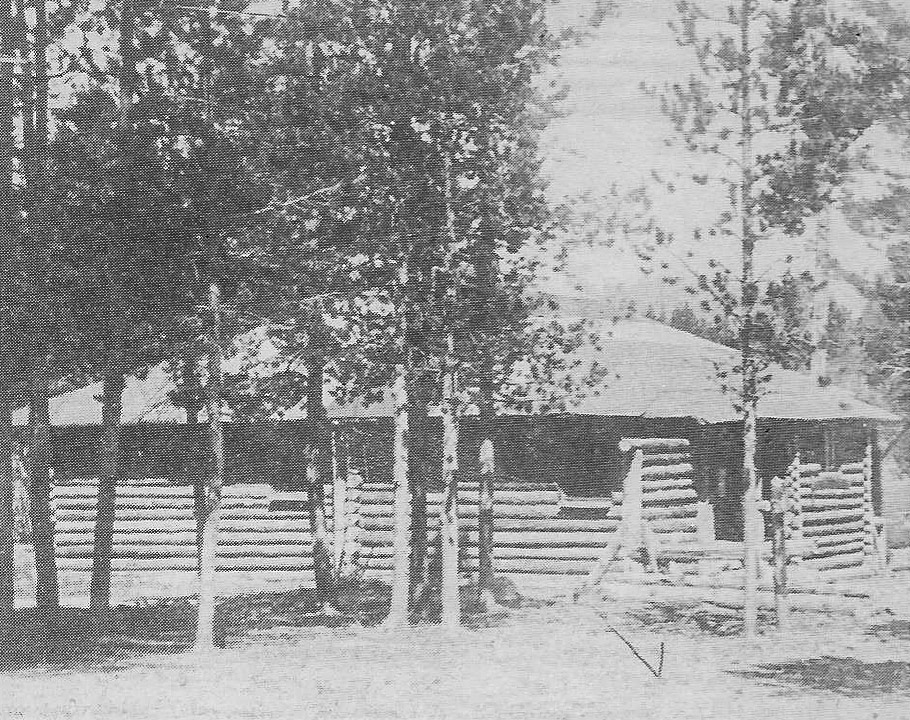 Collins homestead cabin - 1914