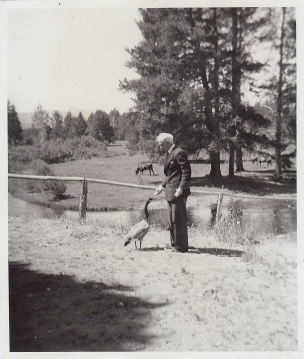 Grandfather feeding his goose (?)