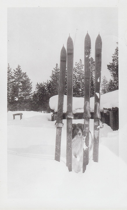 Are these skis still at the Ranch?