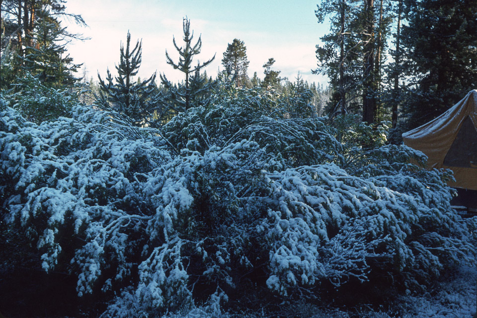 The Ranch after a June snow - 1973