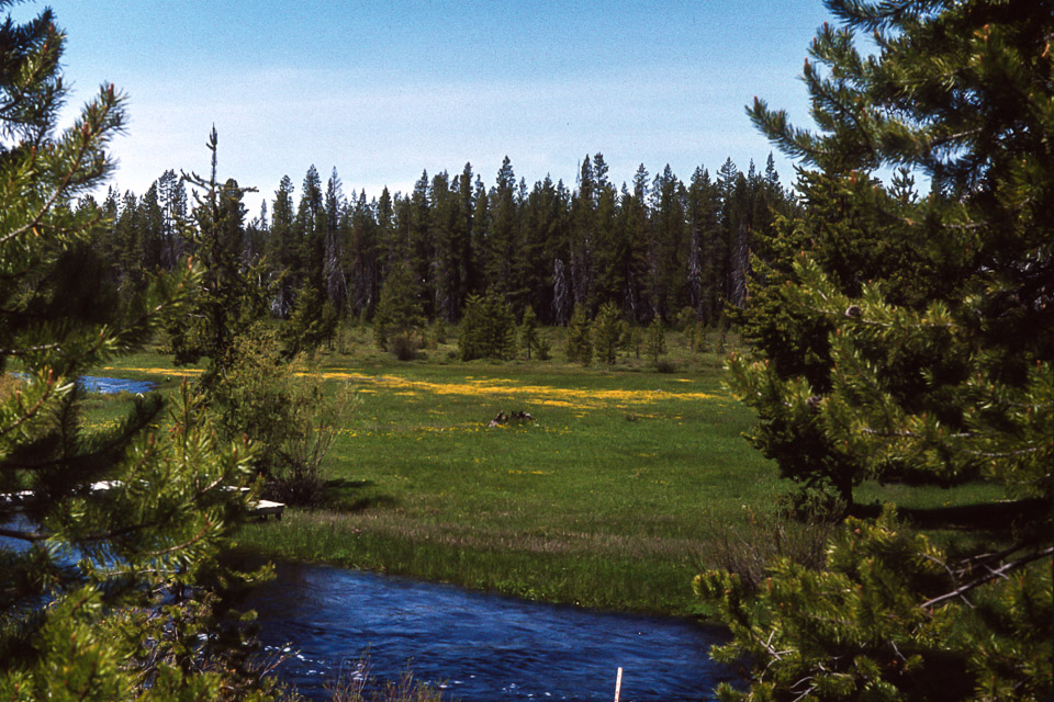 High water during the spring runoff - 1974