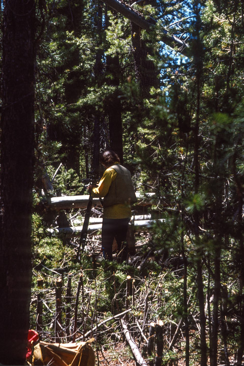 Bill helping Dad survey - 1974