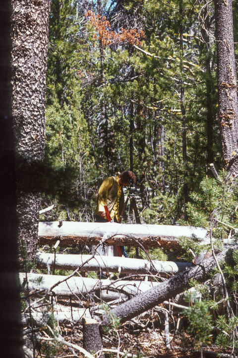 Bill helping Dad survey - 1974