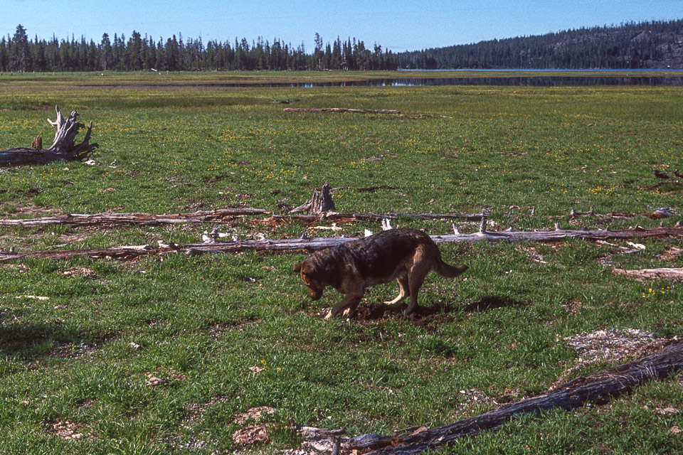 Lady near Sparks Lake - 1974