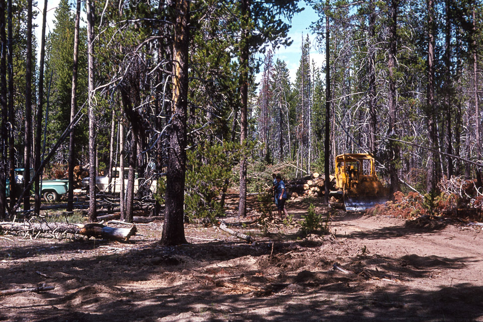 Logging at the Ranch - 1974