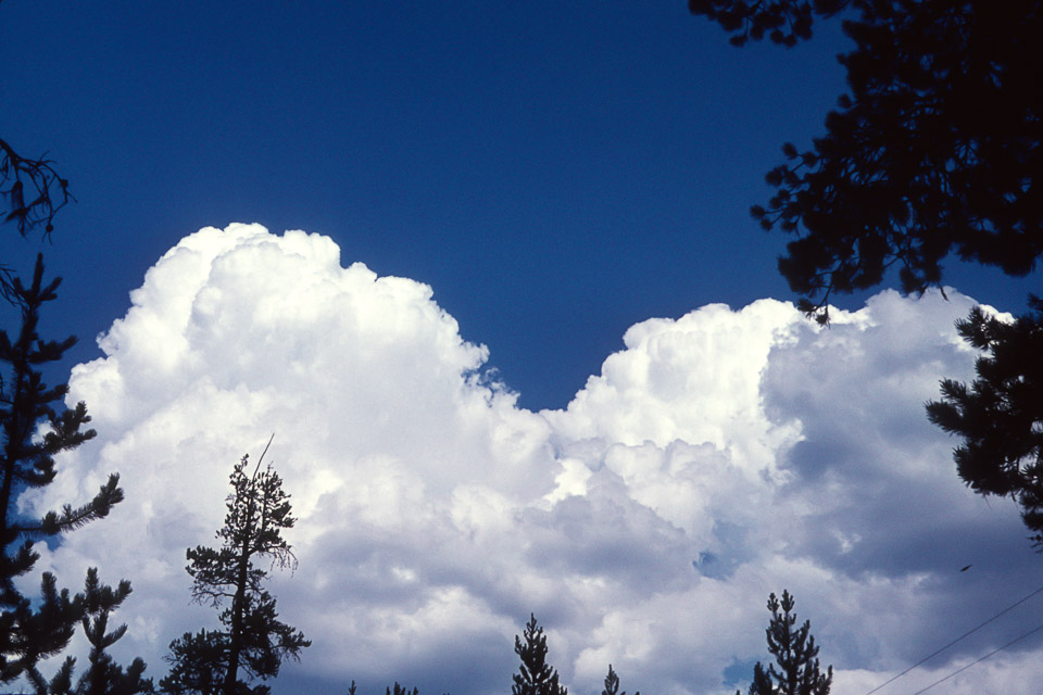 A thunderstorn brewing?