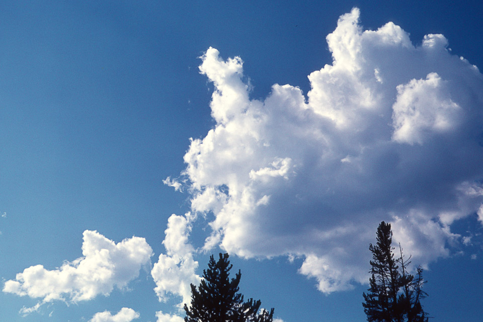 A thunderstorn brewing?