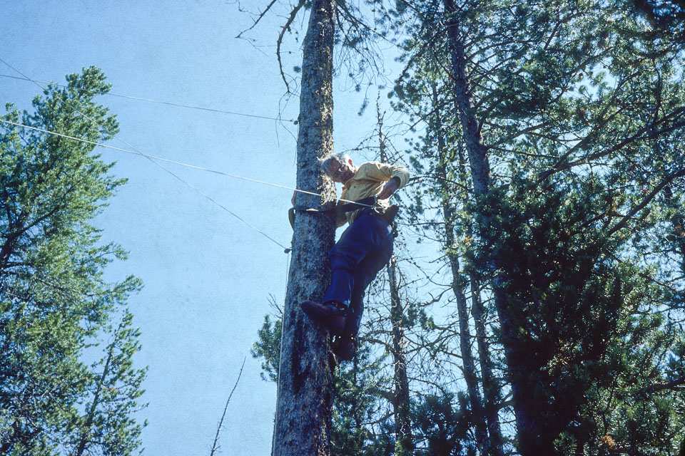 Dad doing antenna work