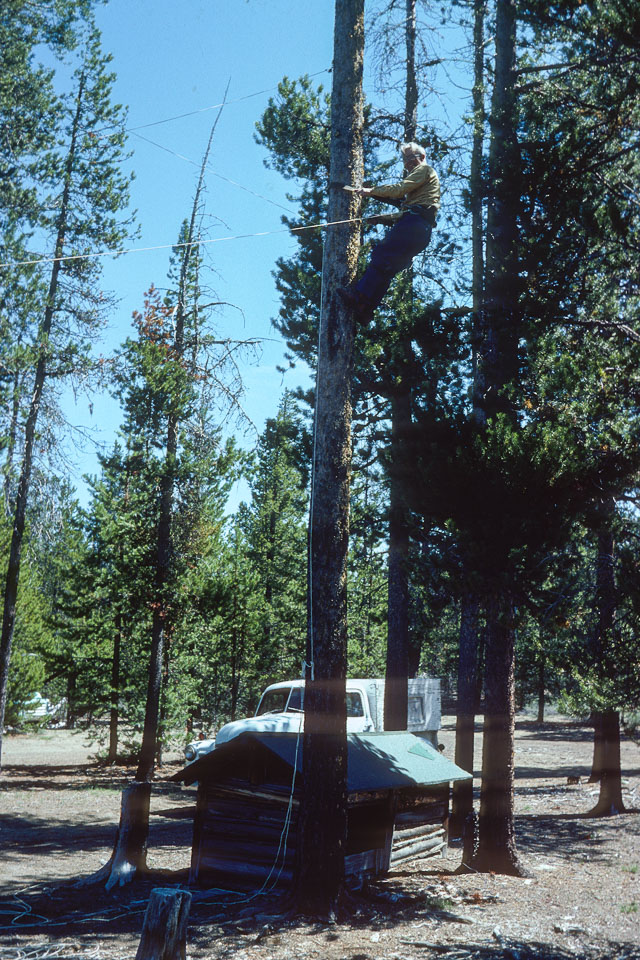 Dad doing antenna work