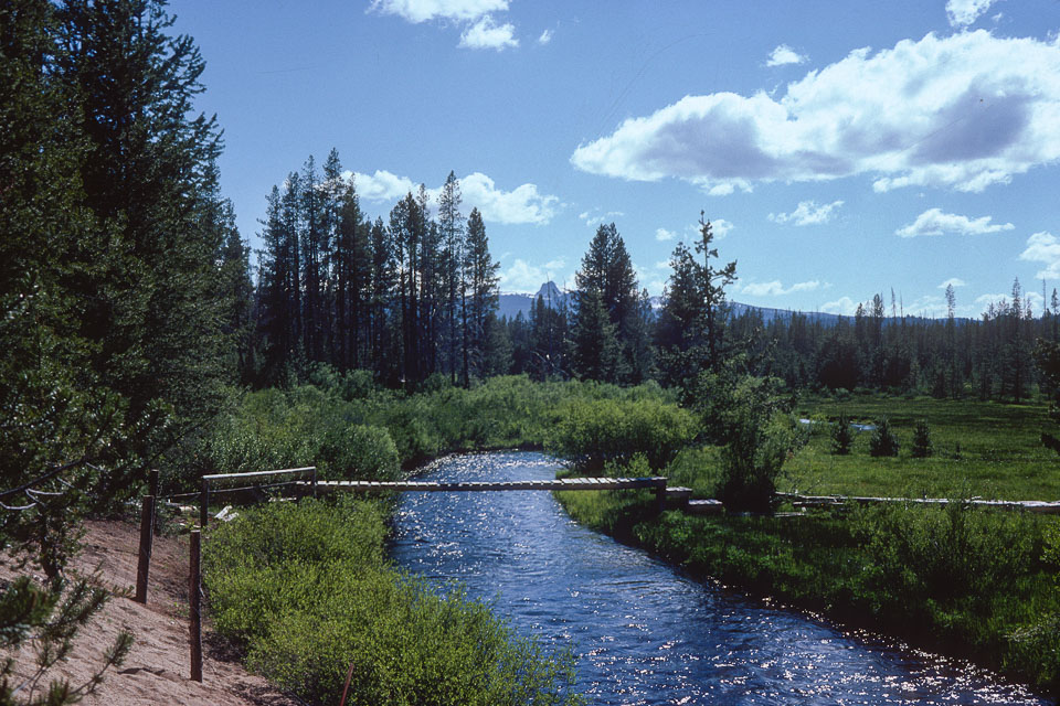 The creek, bridge, and Cowhorn