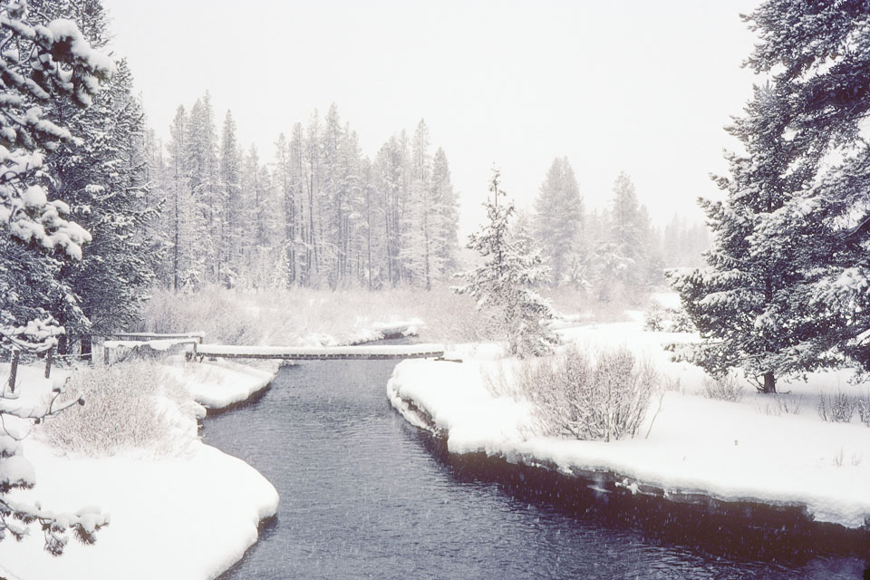 Ranch in Winter