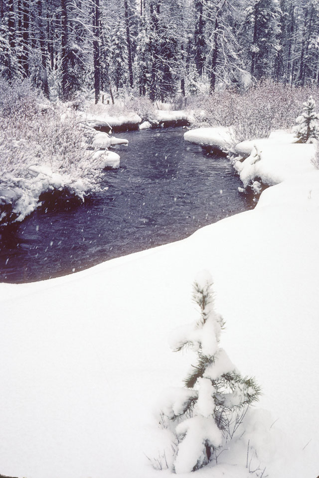 The Ranch in Winter