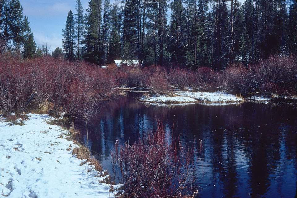 The Ranch in Winter