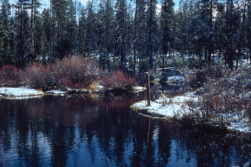 The Ranch in Winter