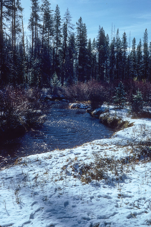 The Ranch in Winter