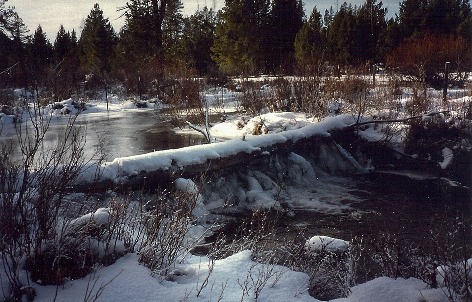 Snow at the Ranch