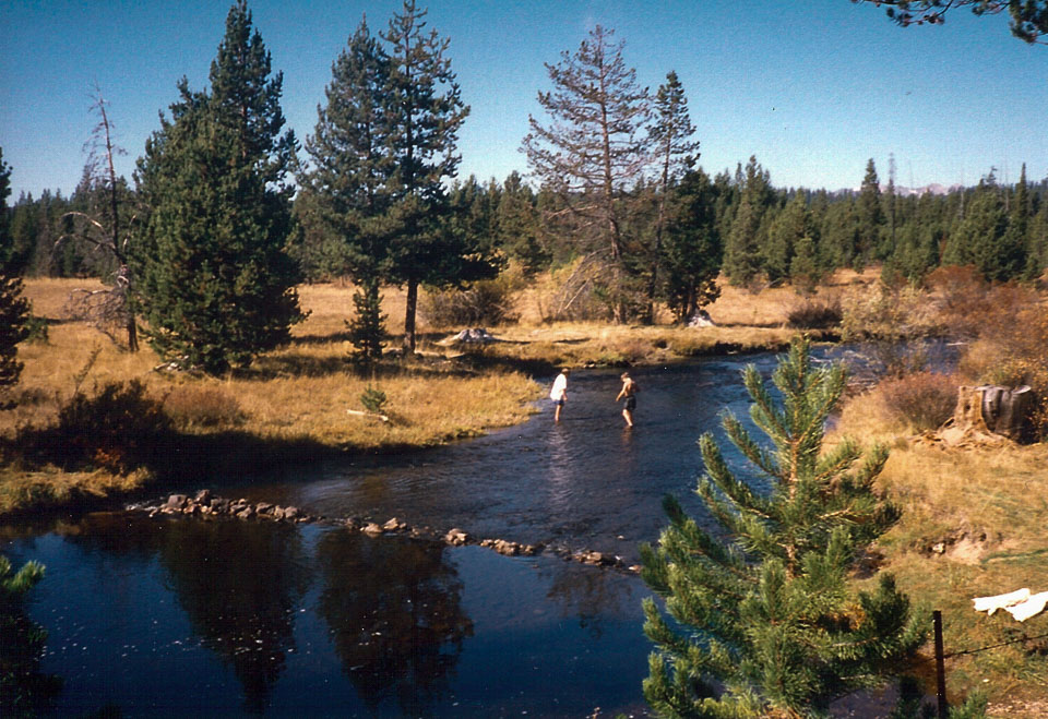 The creek and meadow in summer/fall