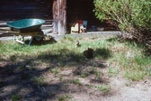 Ranch-1978-07_05-024.jpg