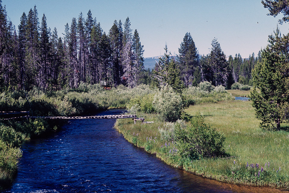 Footbridge over Big Marsh Creek