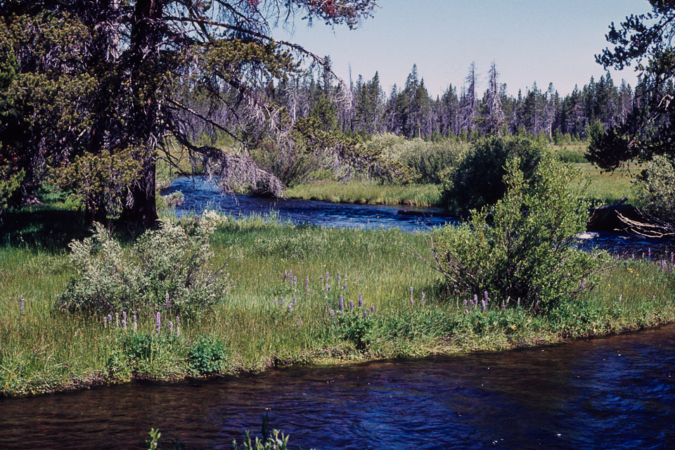 Big Marsh Creek