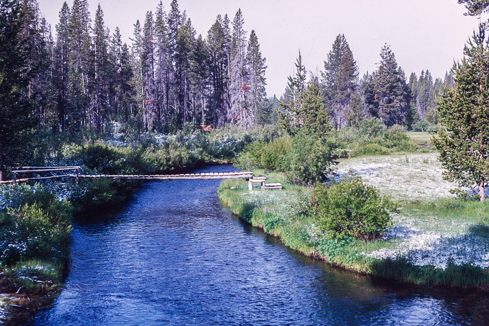 Footbridge over Big Marsh Creek