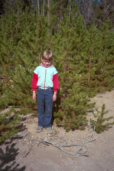 Jeff at Tree Farm