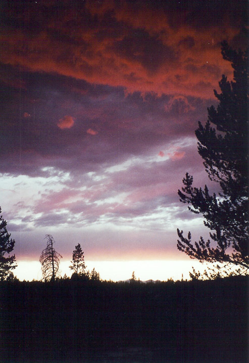 '