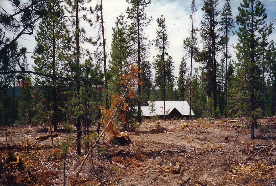 2001 - Logging