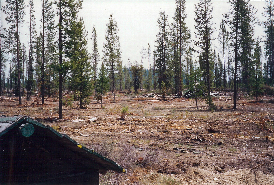 2001 - Logging