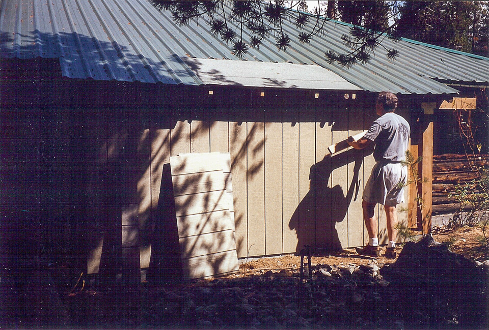 Repairing damaged wall