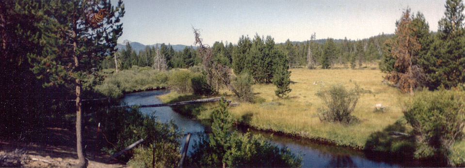 Early August 1992 - Upstream