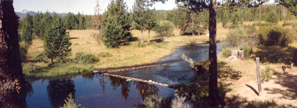 Early August 1992 - Richard's dam