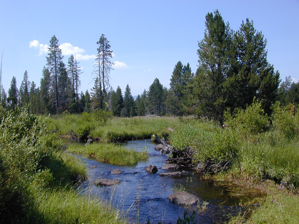 Big Marsh Creek