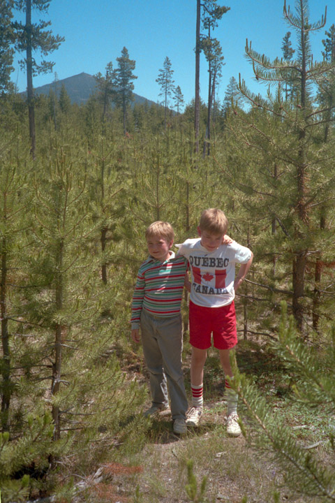 Brian and Jeff at the Tree Farm