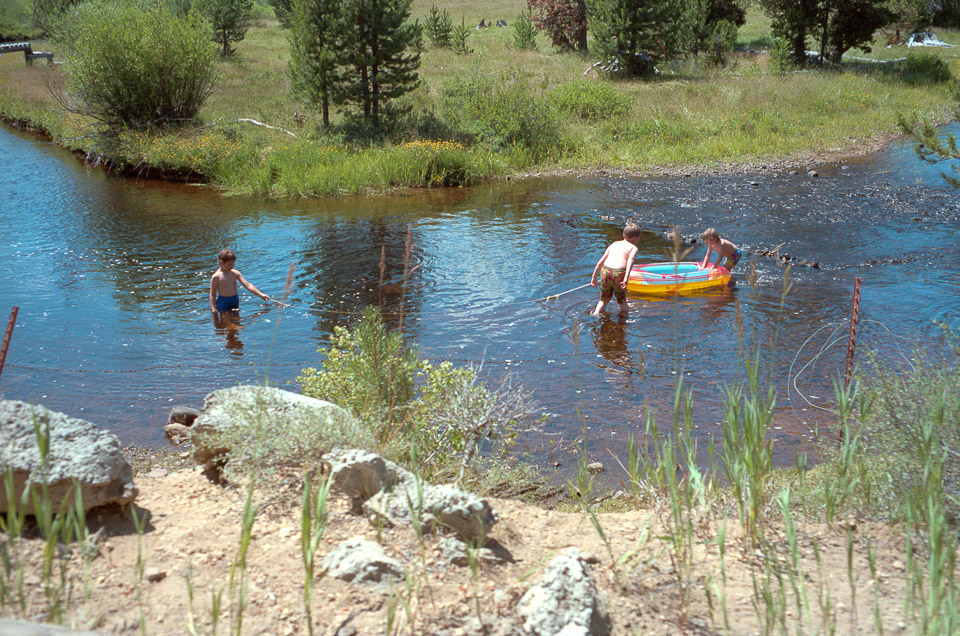 Andrew, Brian, and Alex shuttling rocks for their Big Marsh Creek dam