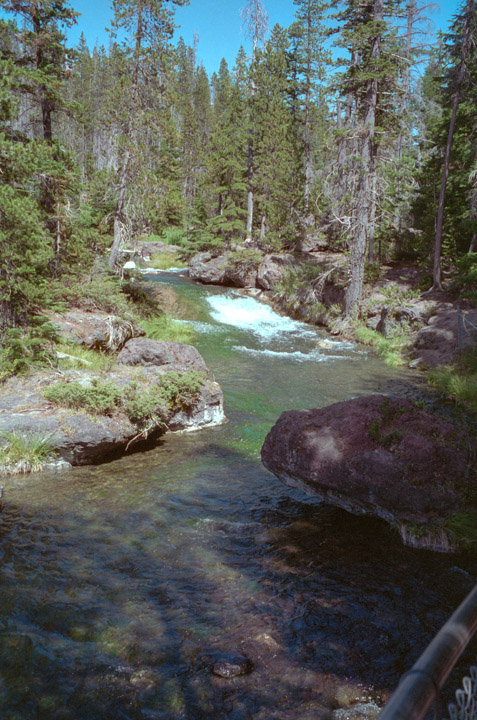 Paulina Creek