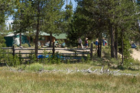 Ranch2548.jpg