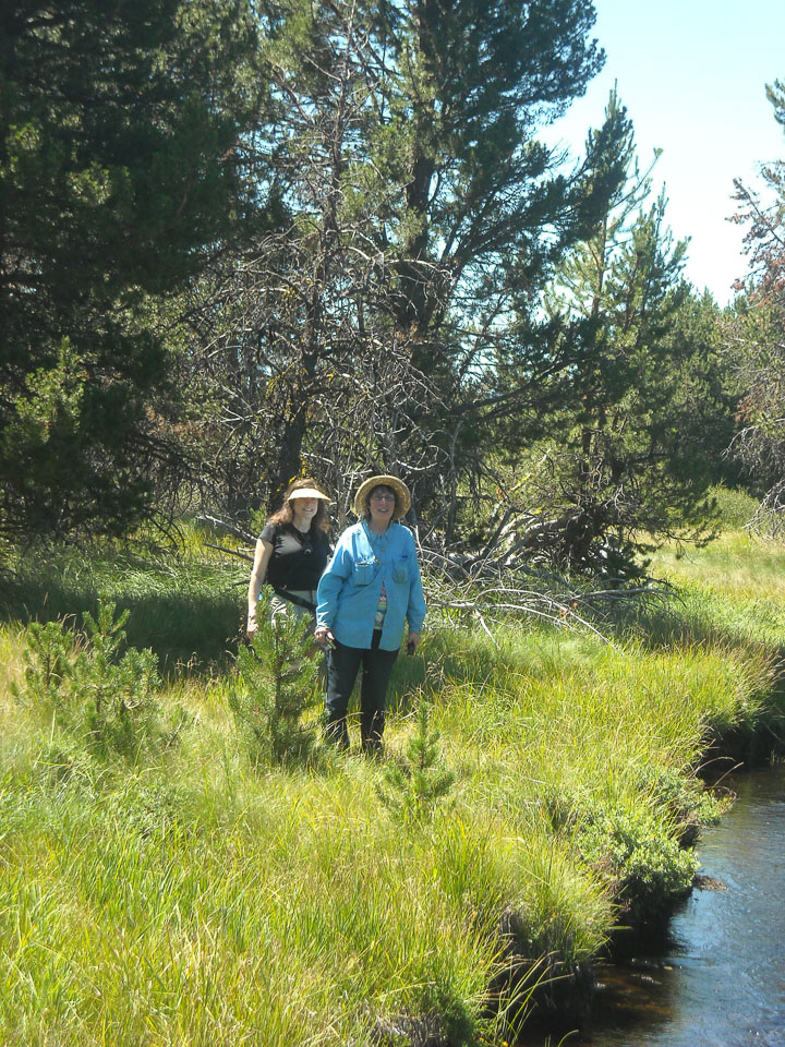 Lisette and Lynne walking along the creek
Photo provided by Jeff Collins