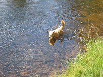 creek-float-with-Abbie.jpg