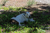 DSC00576.jpg